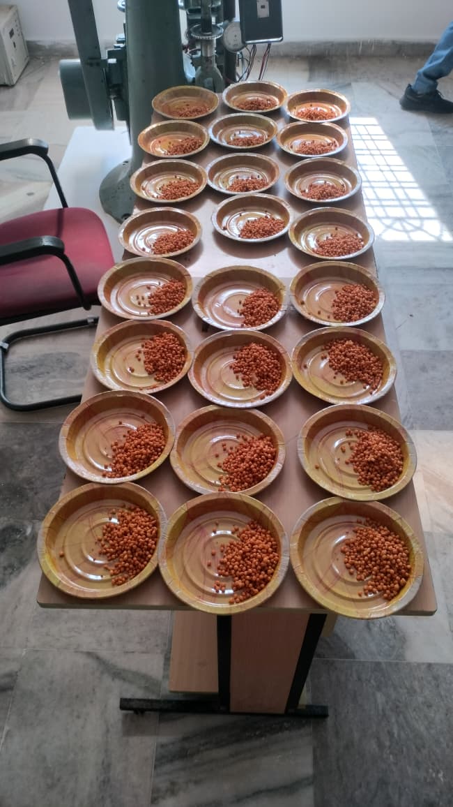 Teachers Day Celebrations